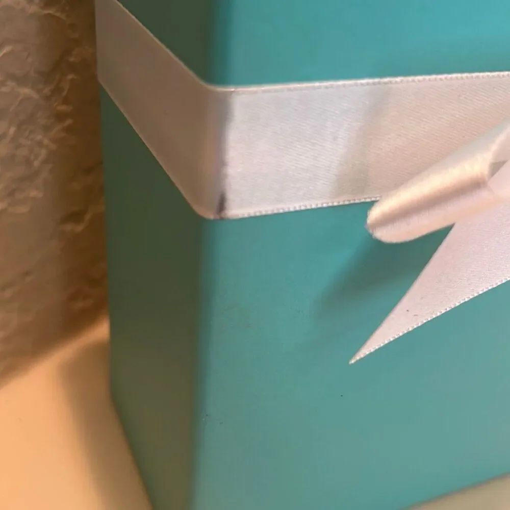 Tiffany & Co Iconic Blue Gift Box White Bow Storage Luxury Display Decor - Picture 7 of 10